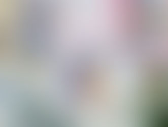 chFILES 4月号　本日より順次配布！