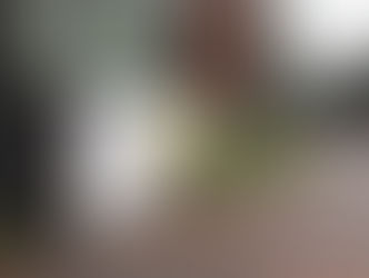 ★report★東京都美術館『杉戸洋 とんぼ と のりしろ展』