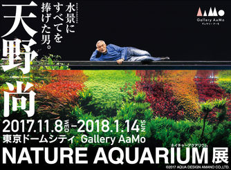 【プレゼント】東京ドームシティGallery AaMo『天野尚 NATURE AQUARIUM展』ご招待券プレゼント(5組10名様)