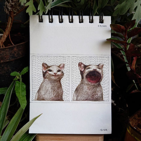 49/100: Pop Cat | 4.1" x 5.8" | Watercolour pencil