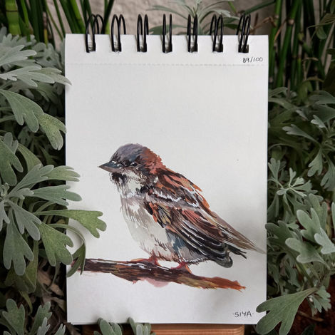 89/100: Sparrow | 4.1" x 5.8" | Gouache