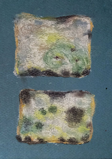 Bread mould | 8.5" x 8" | Soft pastels on blue pastel paper