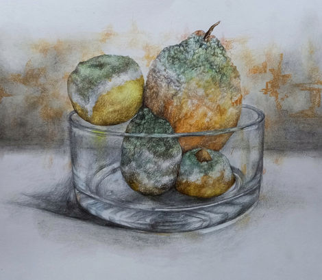 Decaying Fruit | 8.5" x 9.5" | Colour pencil, soft pastel