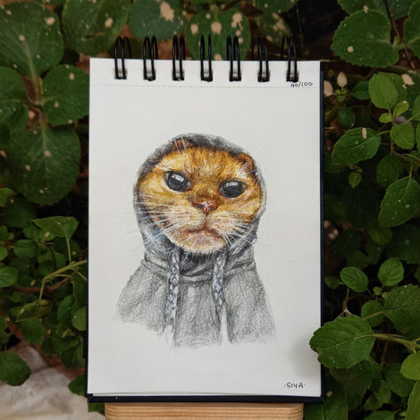 40/100: cat no. 2 | 4.1" x 5.8" | Watercolour pencils