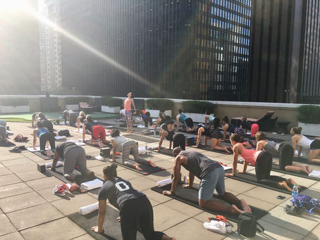 Yoga Lincoln Park: Discover a Practice That Fits Your Life