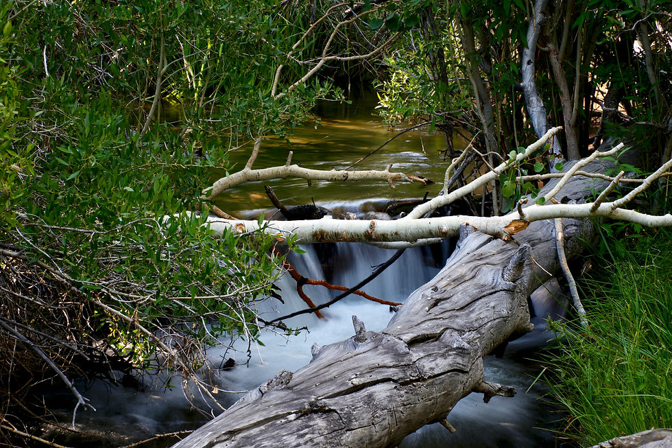 Oak Creek, California
