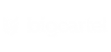 AN-Partner-BigCartel-White-300x141.png