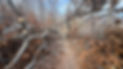 IMG_4416 (1).jpeg