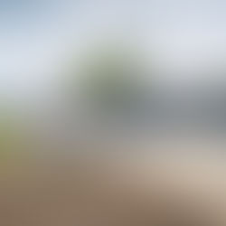 10.28.24 Office & Business Hours Update