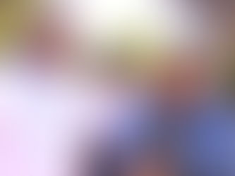 Why would you blindfold a paralegal and lead them through the training compound??