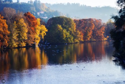 Fotografare l'autunno