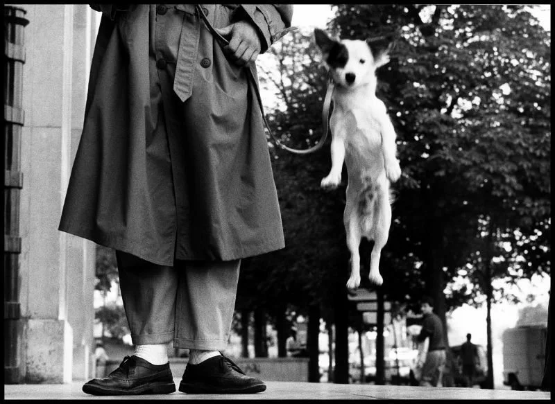 Family di Elliott Erwitt a Torino