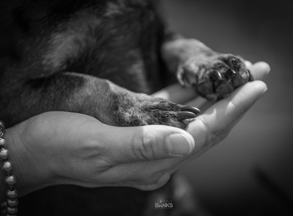 The Bond