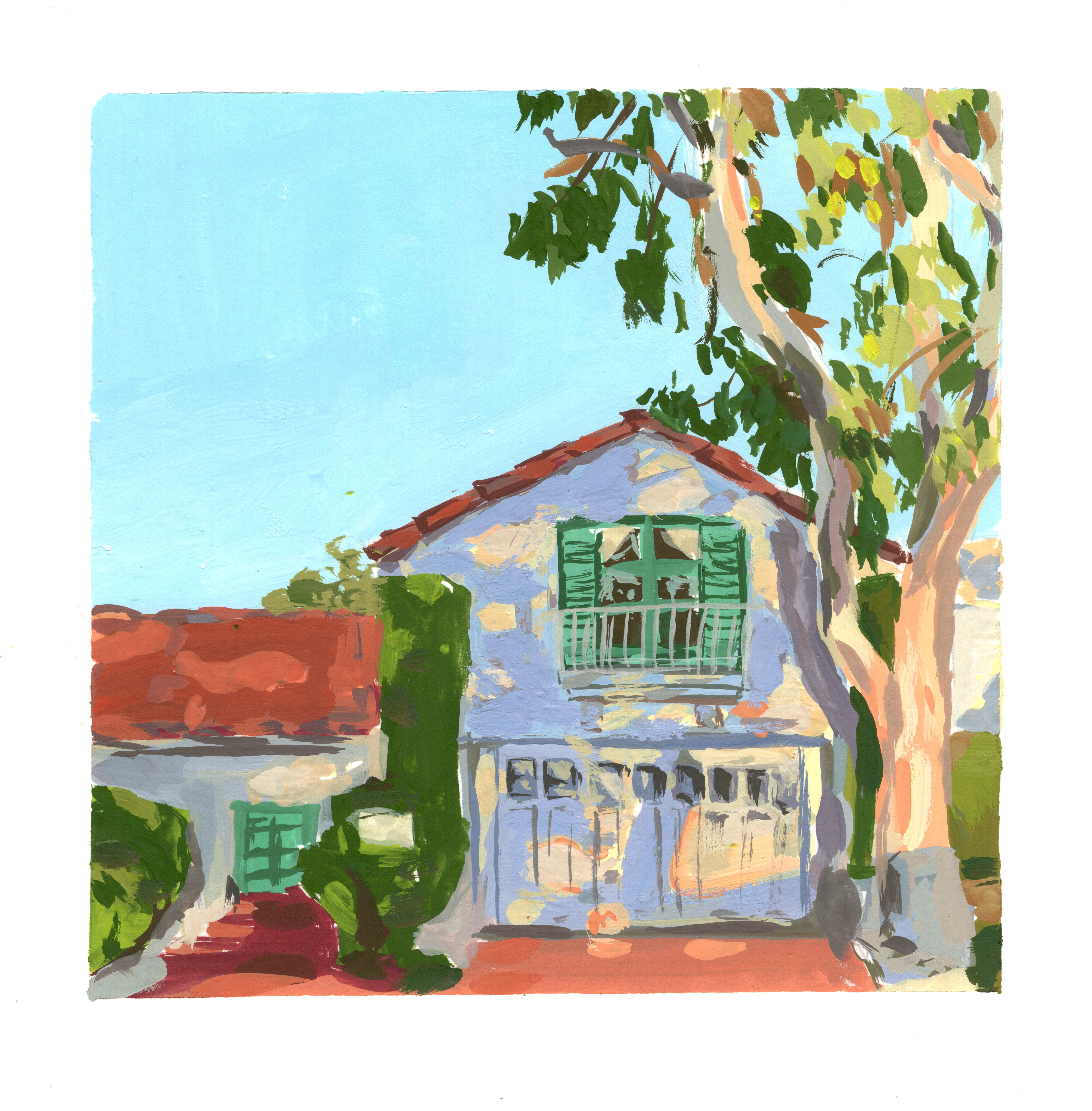 Dappled Golden Hour Light