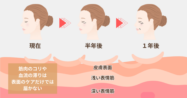 表層筋-18.png