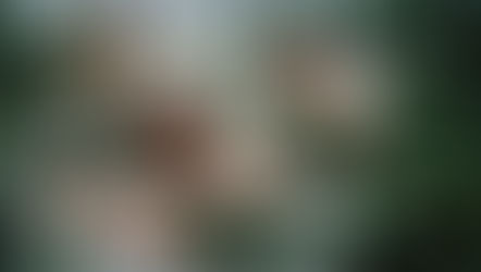 Ciel, j’ai attrapé le bouquet !