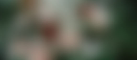 Ciel, j’ai attrapé le bouquet !