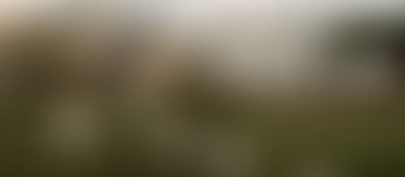 Organisatrice de mariage : à quoi ça sert ? 