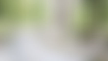 Grande table dans une salle de réception pour un mariage.