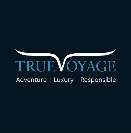 truevoyage logo