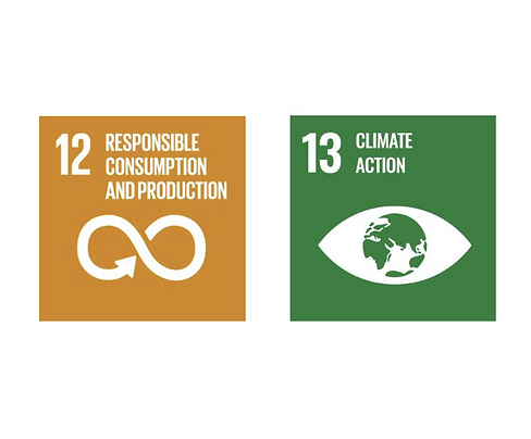 ODS 12 y ODS 13