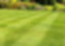 istockphoto-539281725-612x612.jpg