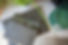 DSC_2762.jpg