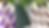Untitled design (41).png