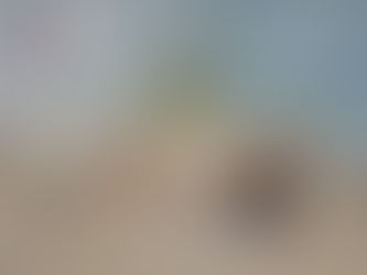 Allen Habert e Alfredo Attié: "Brasil 2022 Engenharia Desenvolvimento e Democracia" na AP de Direito