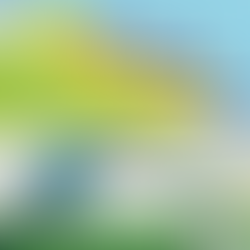 Raízen (Shell - Cosan/Esso Mobil): Bio combustíveis, monopolização, financeirização e crise