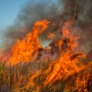 INCÊNDIOS CRIMINOSOS EM SP - A QUEM INTERESSA O CRIME?