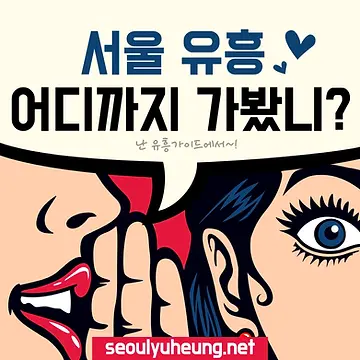 서울 유흥5.webp