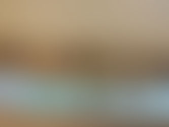 Concorso mieli del trentino 2025