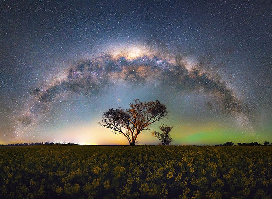Field of Stars.jpg