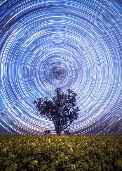 Young-Star-Trails.jpg