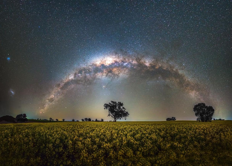 2 Canola Panorama.JPG