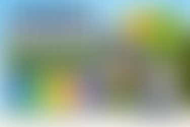 Colorful infographic-style blog header for “How Much House Can I Actually Afford? A Realistic 2026 Breakdown” featuring a modern suburban home, bold financial-themed text, vibrant icons for budgeting and mortgage costs, and bright blue, green, yellow, and purple design elements with no people.