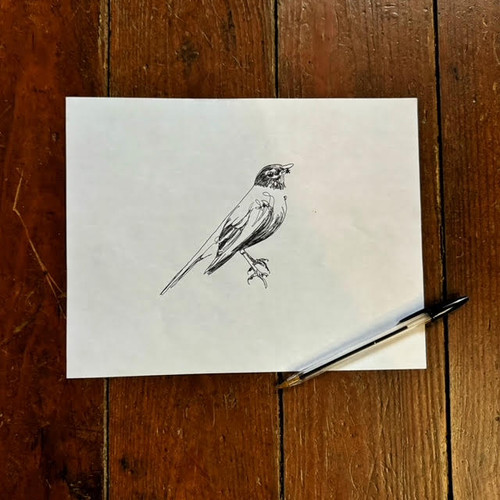 The ROBIN Recursive Drawing From The Blue Velvet LP Release From Coda The robin recursive drawing from the blue velvet lp release from coda
