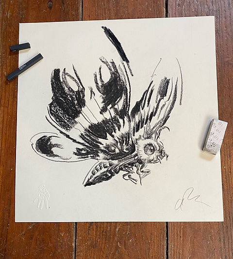 mothra drawing realistic