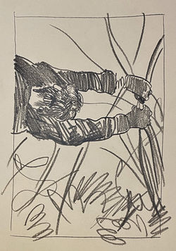 image10