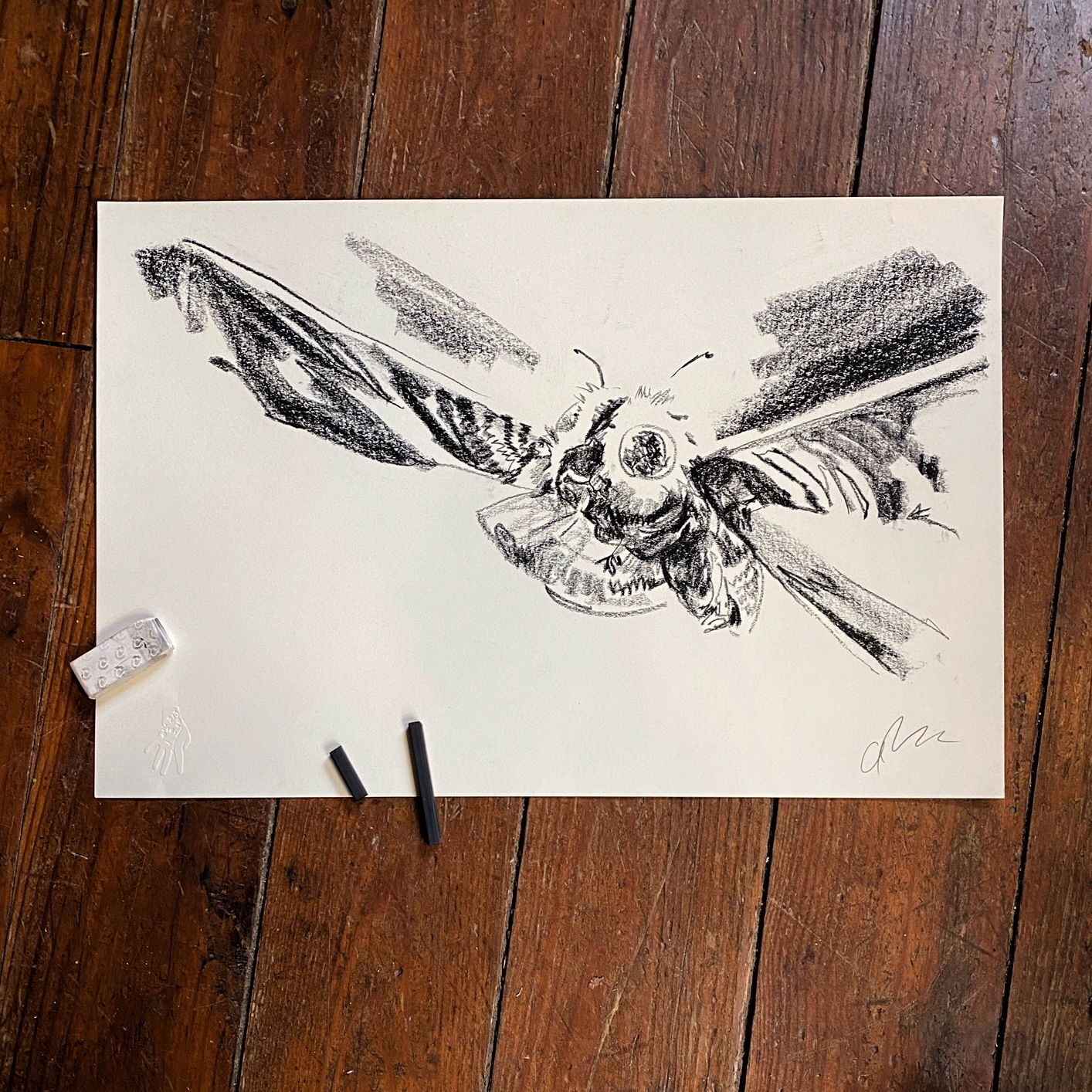 GODZILLA vs MOTHRA original charcoal drawing “Flight”
