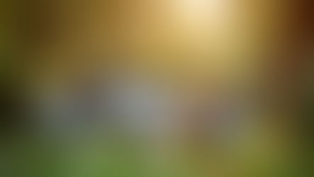 Duurzaam vergaderen in de natuur