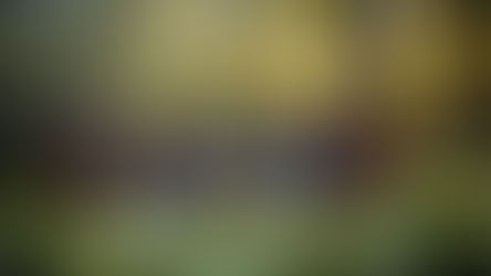 voordelen van vergaderen in de natuur