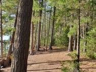 Algonquin_06.jpeg