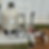 IMG_2721_edited.png