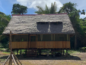 How To Choose An Amazon Lodge Peru: Everything You Need To Know