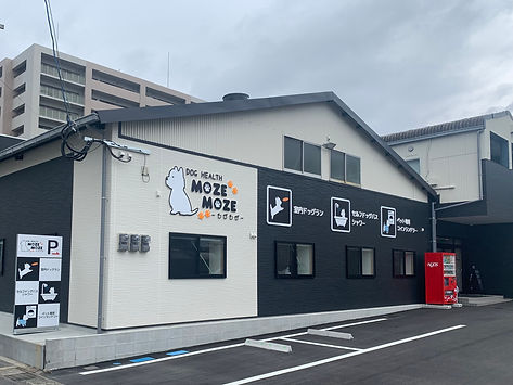 店舗建物