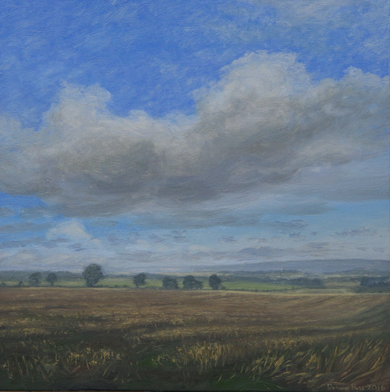 Fields at Lowick, Northumberland