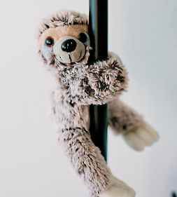 Plush Sloth Toy Hanging in