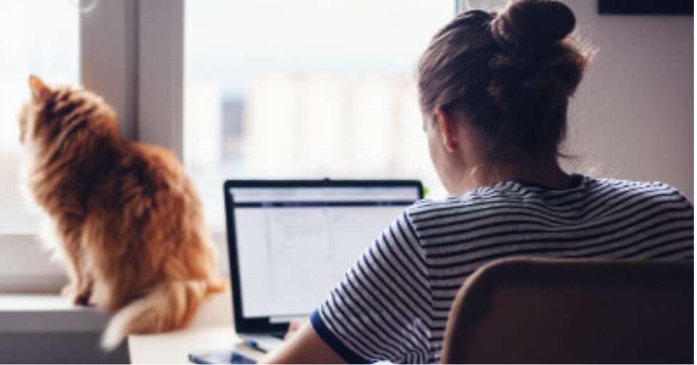 BCSDA lodges submission on Victoria’s proposed right to work from home legislation
